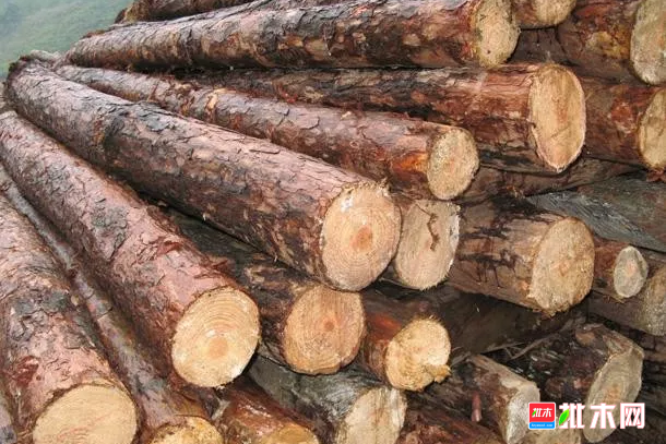 批木网 anywood.com