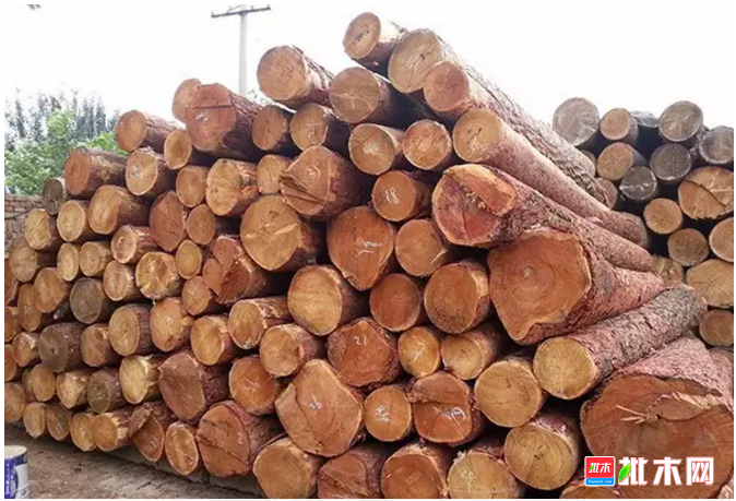 批木网 anywood.com