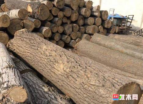 批木网anywood.com