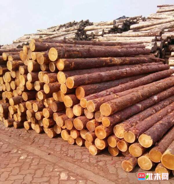 批木网anywood.com