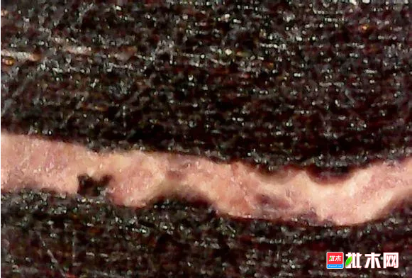 批木网 anywood.com