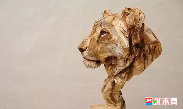 批木网 anywood.com