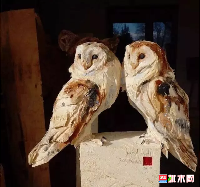 批木网 anywood.com