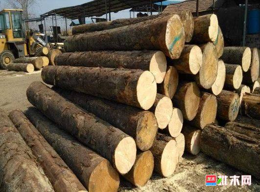 批木网 anywood.com