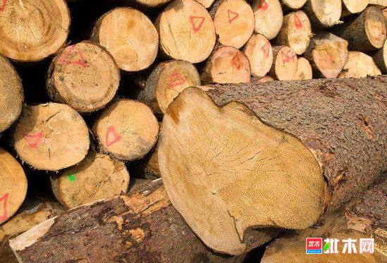 批木网 anywood.com