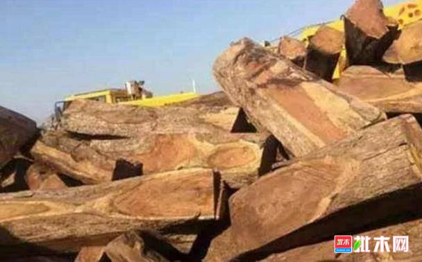 批木网anywood.com