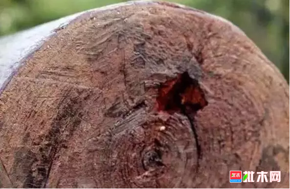 批木网 anywood.com