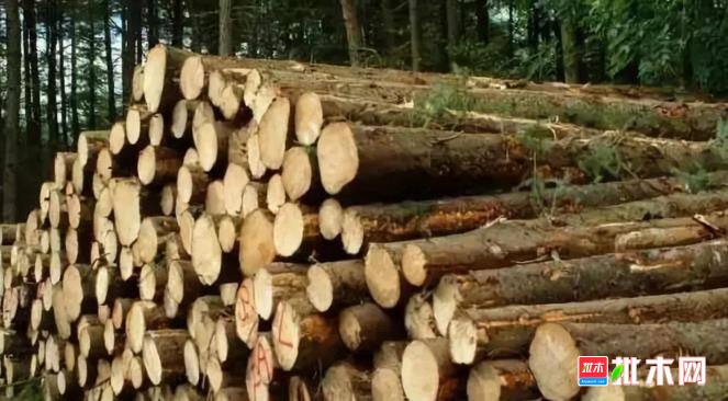 批木网anywood.com