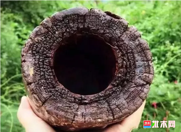 批木网 anywood.com