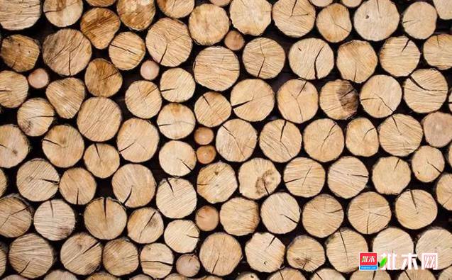 批木网anywood.com