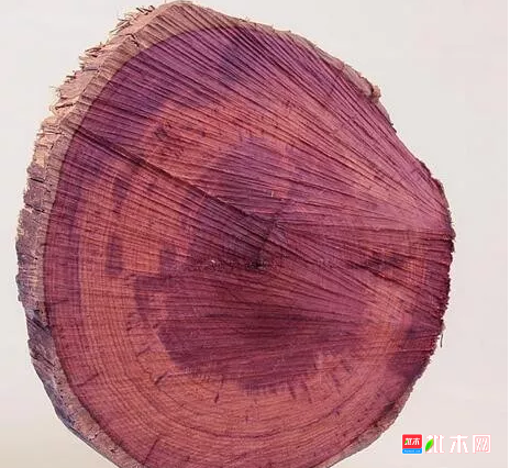 批木网 anywood.com