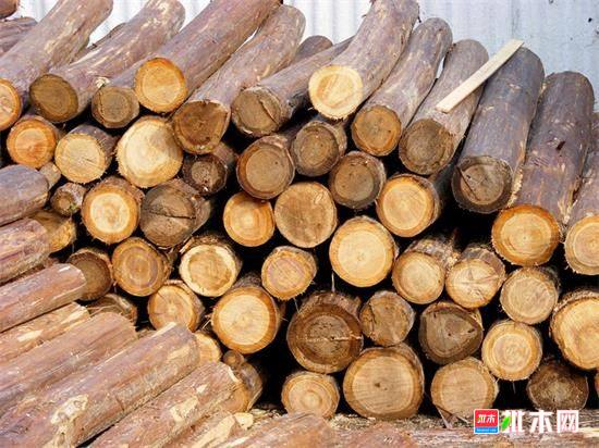 批木网anywood.com