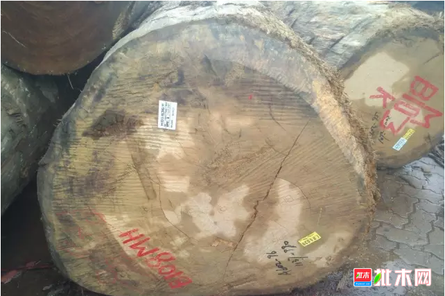 批木网 anywood.com