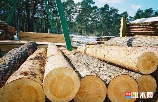 批木网 anywood.com