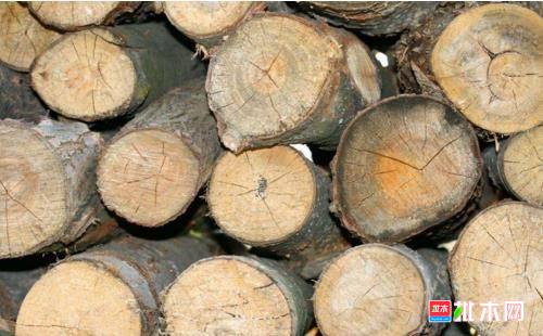 批木网 anywood.com