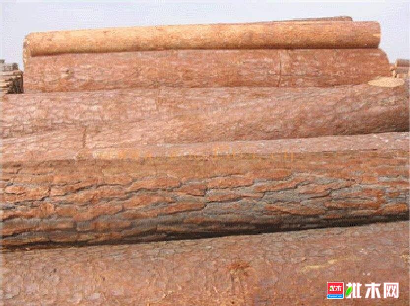 批木网 anywood.com