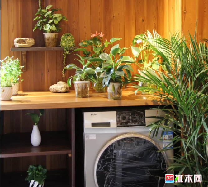 批木网 anywood.com