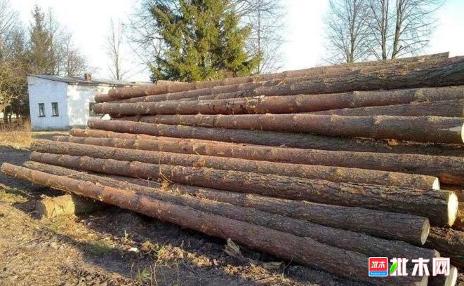 批木网 anywood.com