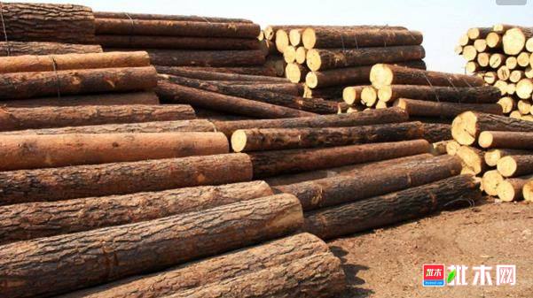 批木网 anywood.com