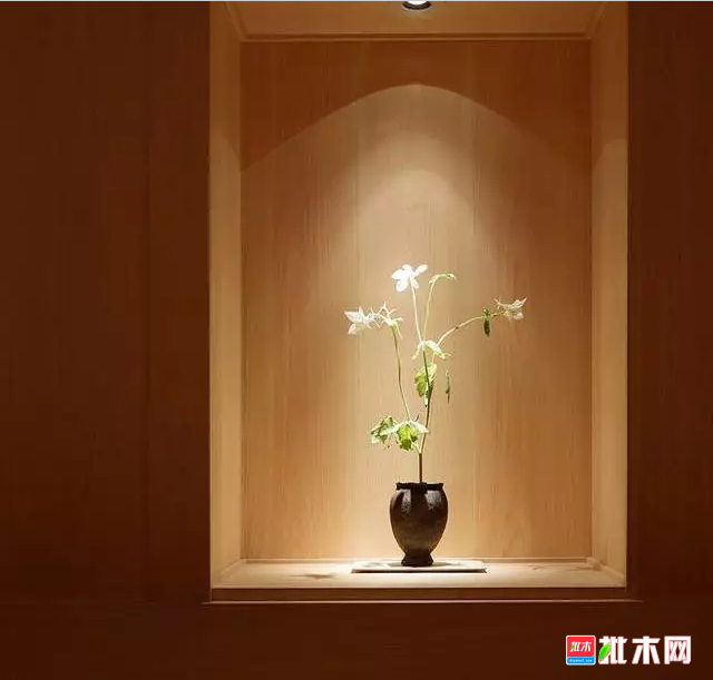 批木网 anywood.com