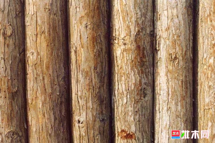 批木网anywood.com