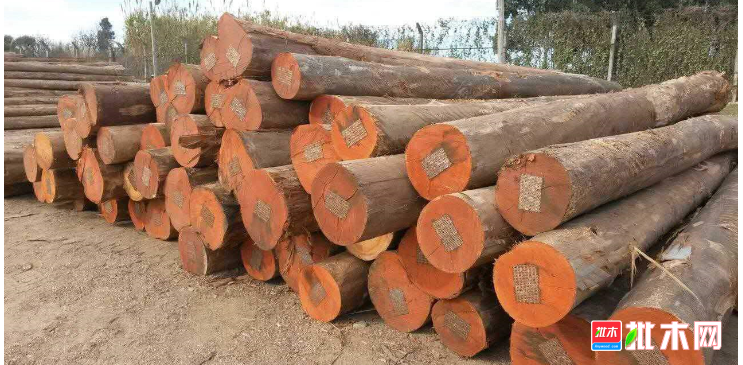 批木网 anywood.com