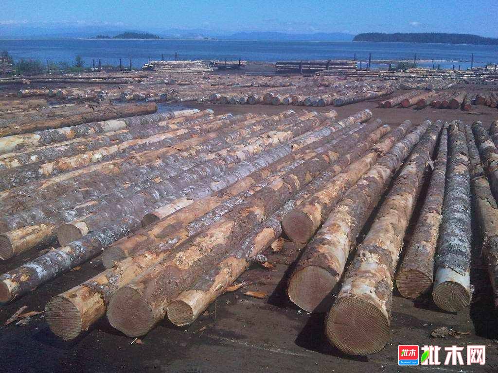 批木网anywood.com