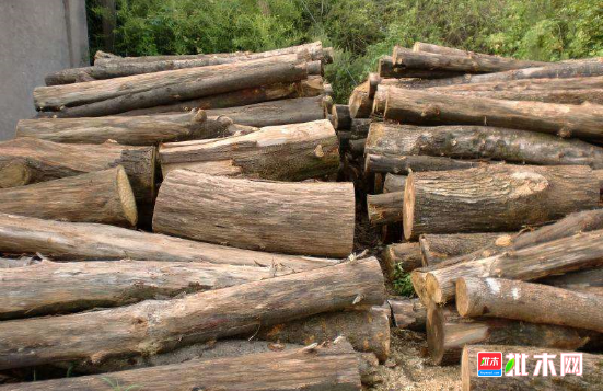 批木网 anywood.com