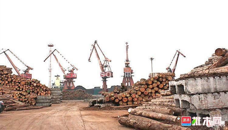 批木网-中国木材木业市场
