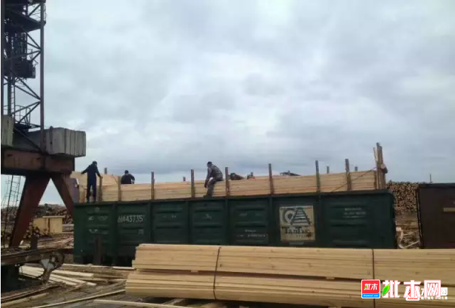 批木网-中国木材木业市场