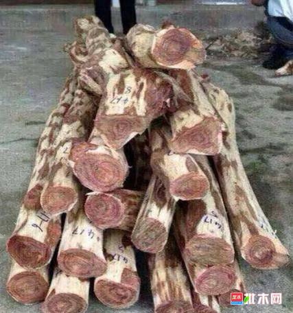 批木网anywood.com