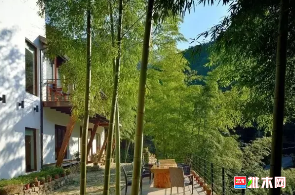 批木网 anywood.com