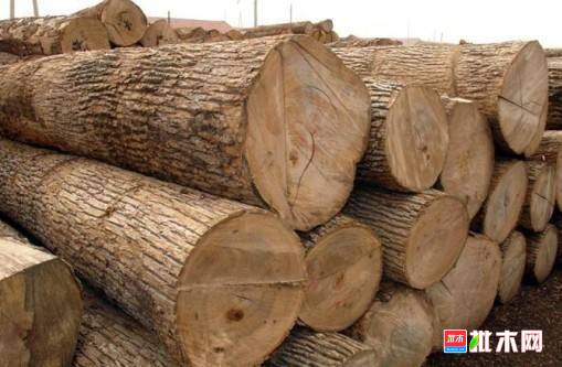 批木网 anywood.com
