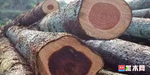 批木网 anywood.com