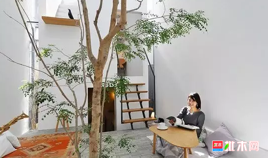 批木网 anywood.com