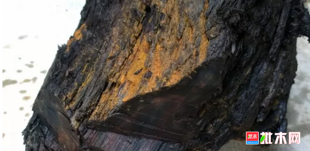 批木网 anywood.com