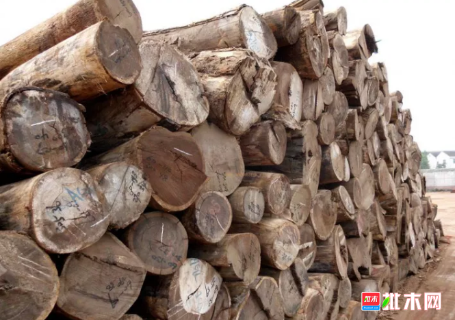 批木网 anywood.com