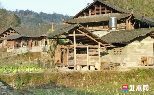 批木网 anywood.com