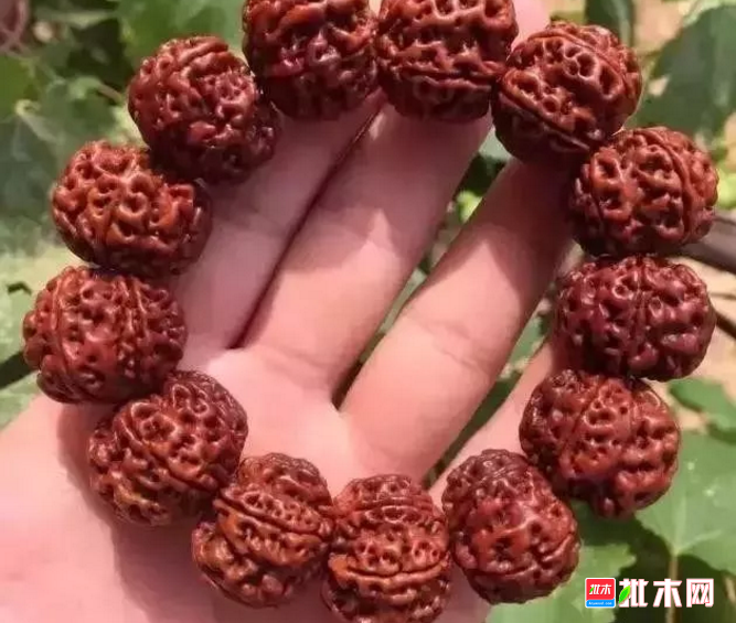 批木网 anywood.com