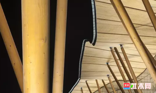 批木网 anywood.com