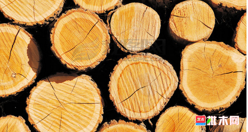 批木网 anywood.com