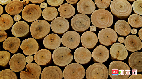 批木网 anywood.com