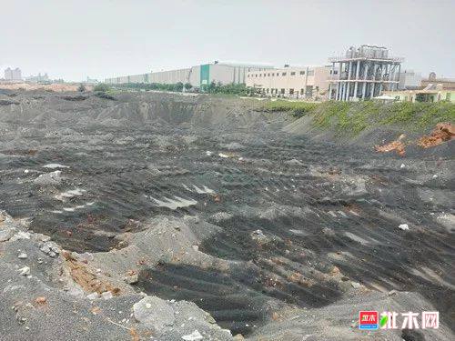 批木网anywood.com