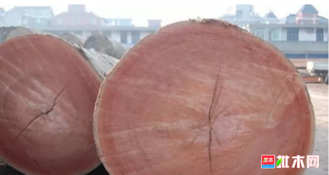 批木网 anywood.com