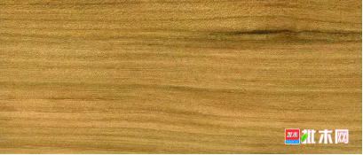 批木网 anywood.com