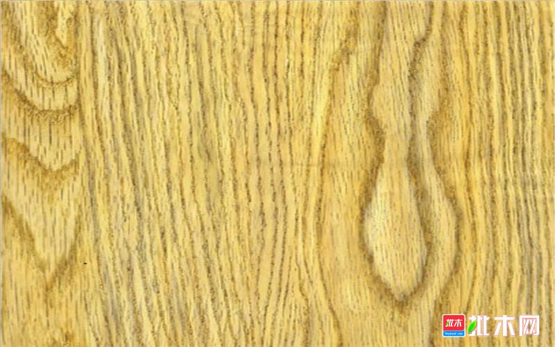 批木网anywood.com