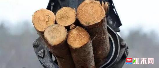 批木网anywood.com