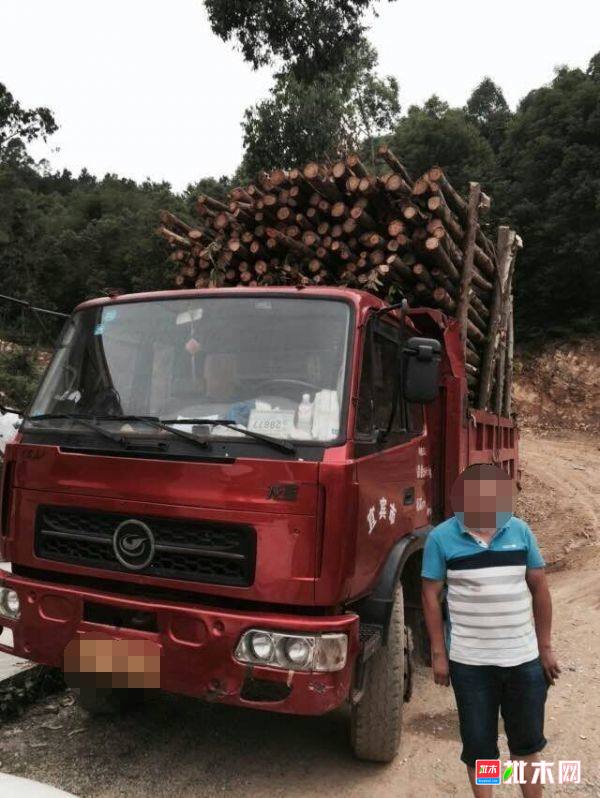 批木网anywood.com