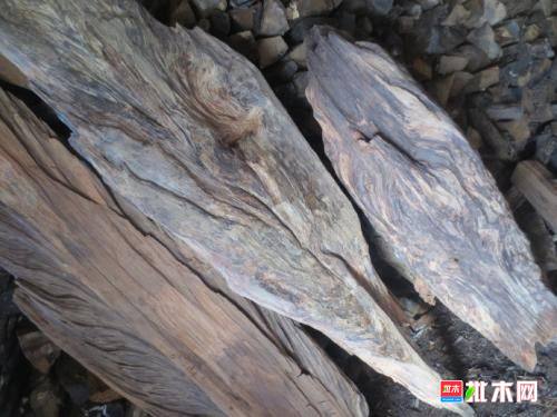 批木网anywood.com