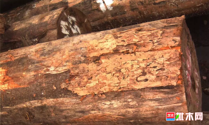 批木网 anywood.com